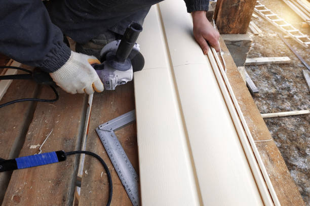 Best Insulated Siding Installation  in Tice, FL