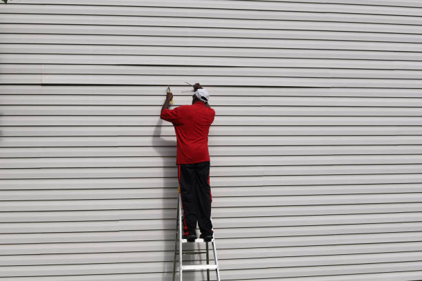 Best Vinyl Siding Installation  in Tice, FL